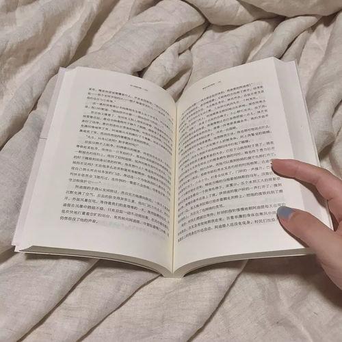 桃园日记最新爆料文案,揭秘幕后真相，独家解读事件始末